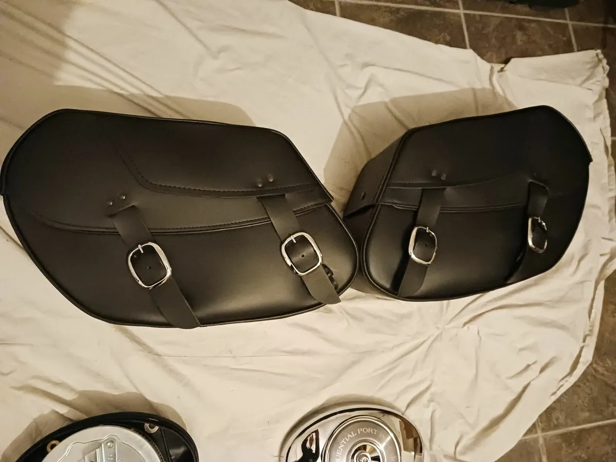 Harley Twin Cam Genuine Saddlebags - Image 2