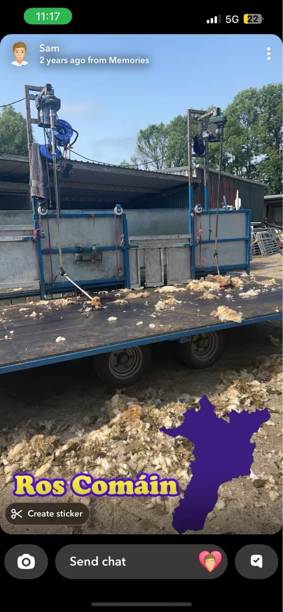Sheep shearing - Image 2