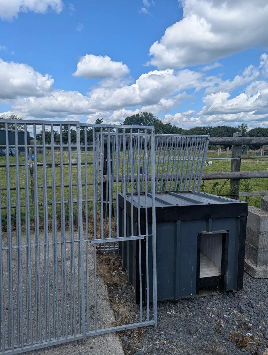 Dog kennel - Image 4
