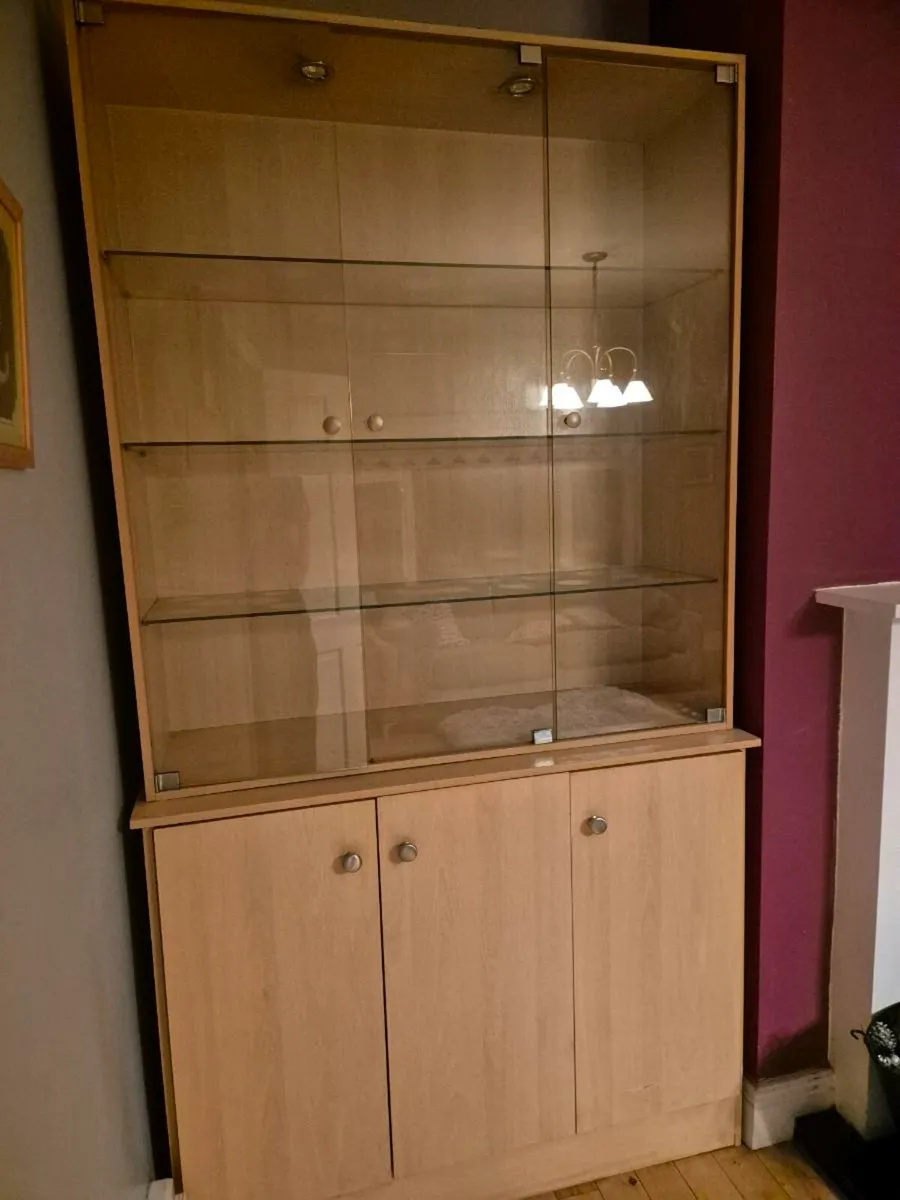 FREE Display Cabinet with Inset Lights - Image 2