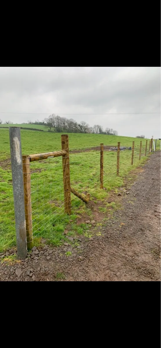 Healy Agri fencing - Image 1