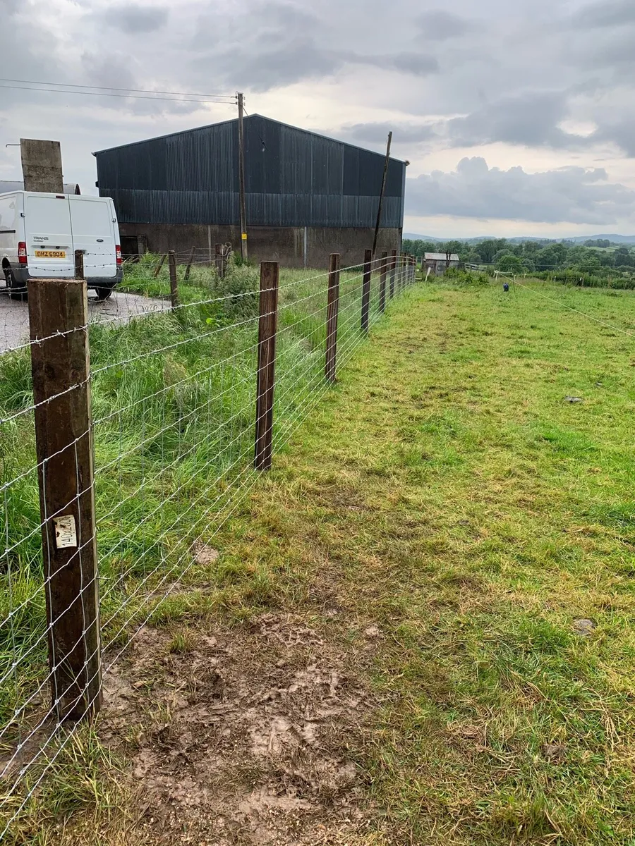 Healy Agri fencing - Image 2