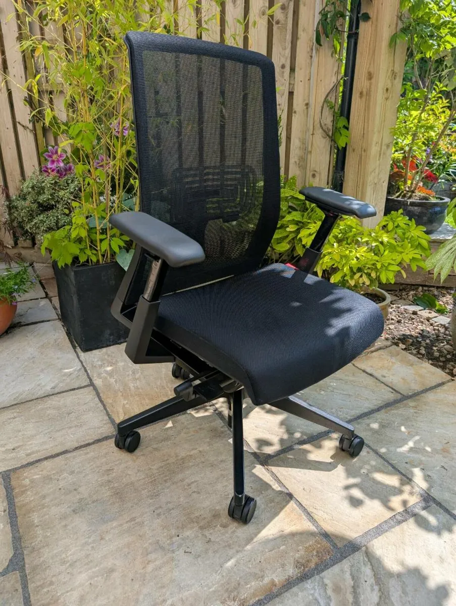 Ergonomic office chair - Image 1