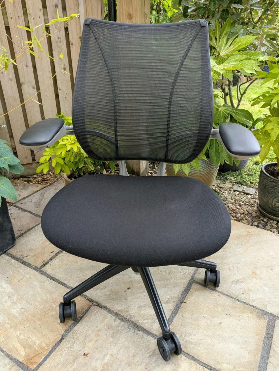 Ergonomic office chair - Image 1
