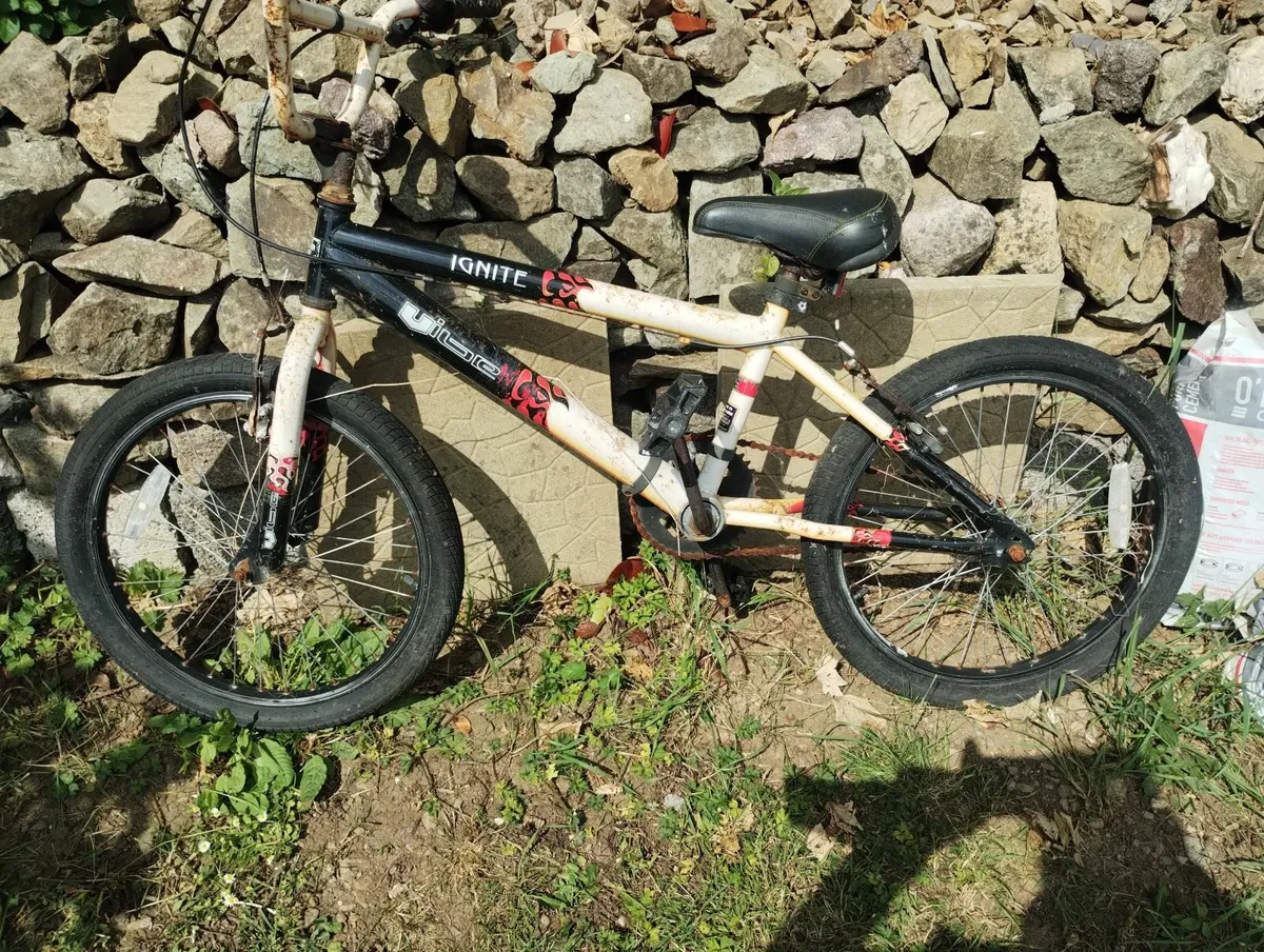 Bikes - Image 2