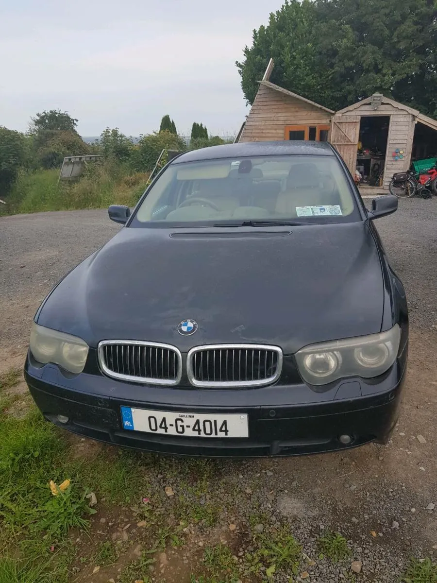 BMW 730d - Image 3