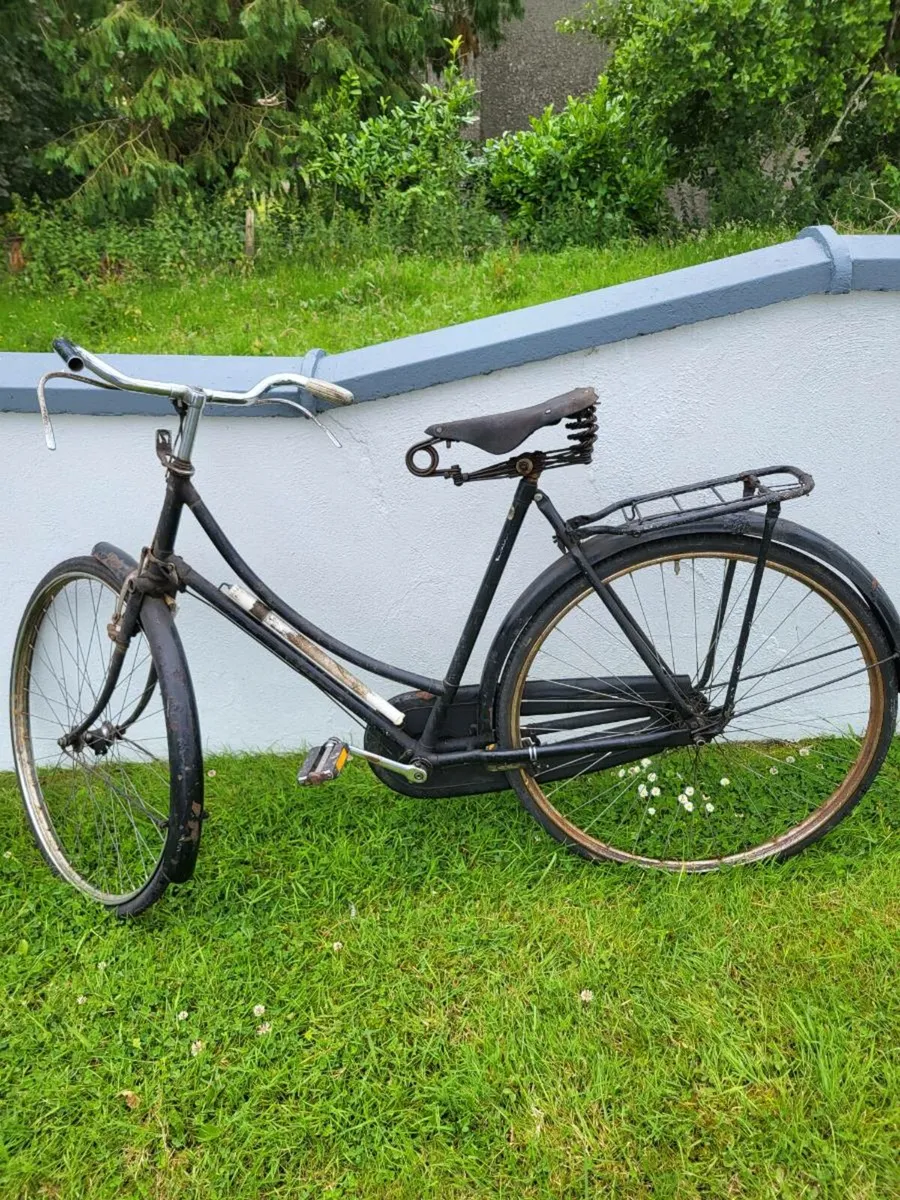 Highnelly bicycle - Image 1