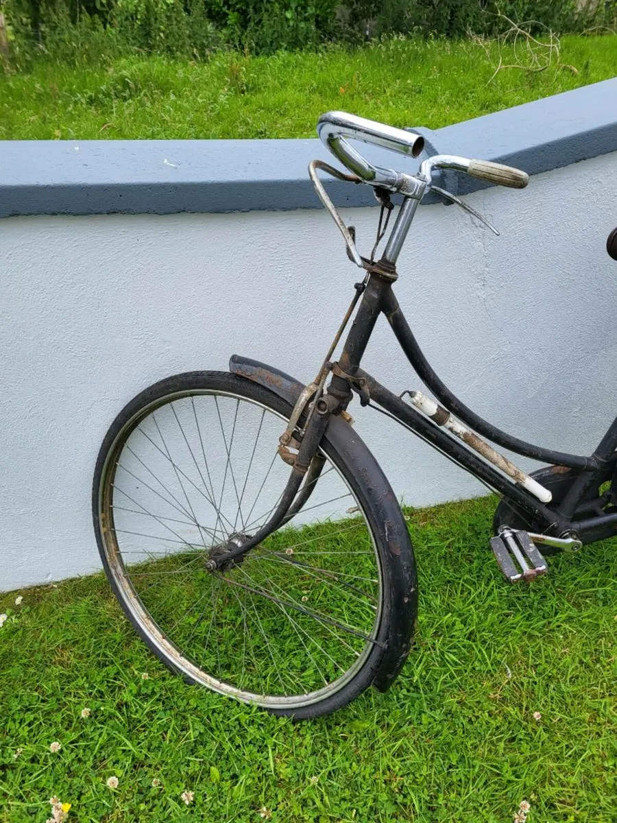 Highnelly bicycle - Image 2