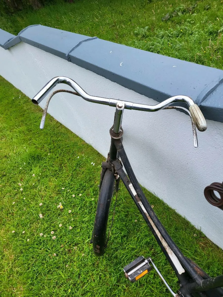 Highnelly bicycle - Image 4