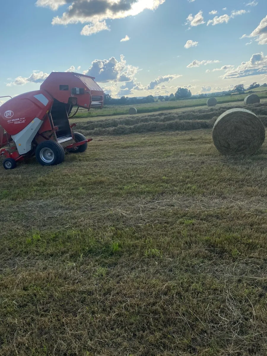 Hay - Image 1