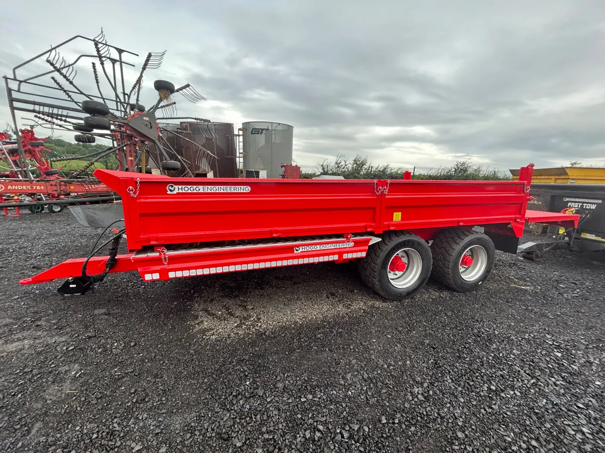 Hogg 16x8 tipping Trailer - Image 2