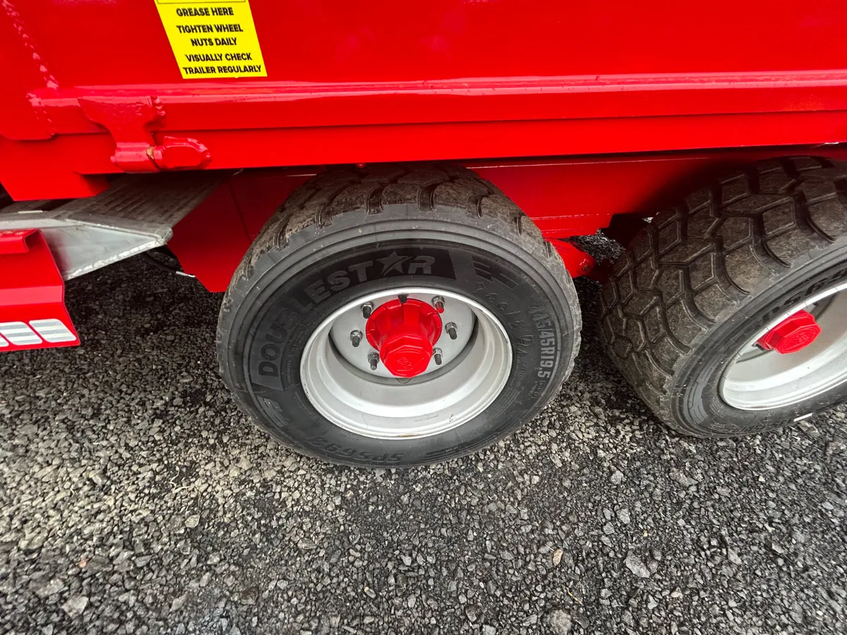 Hogg 16x8 tipping Trailer - Image 3