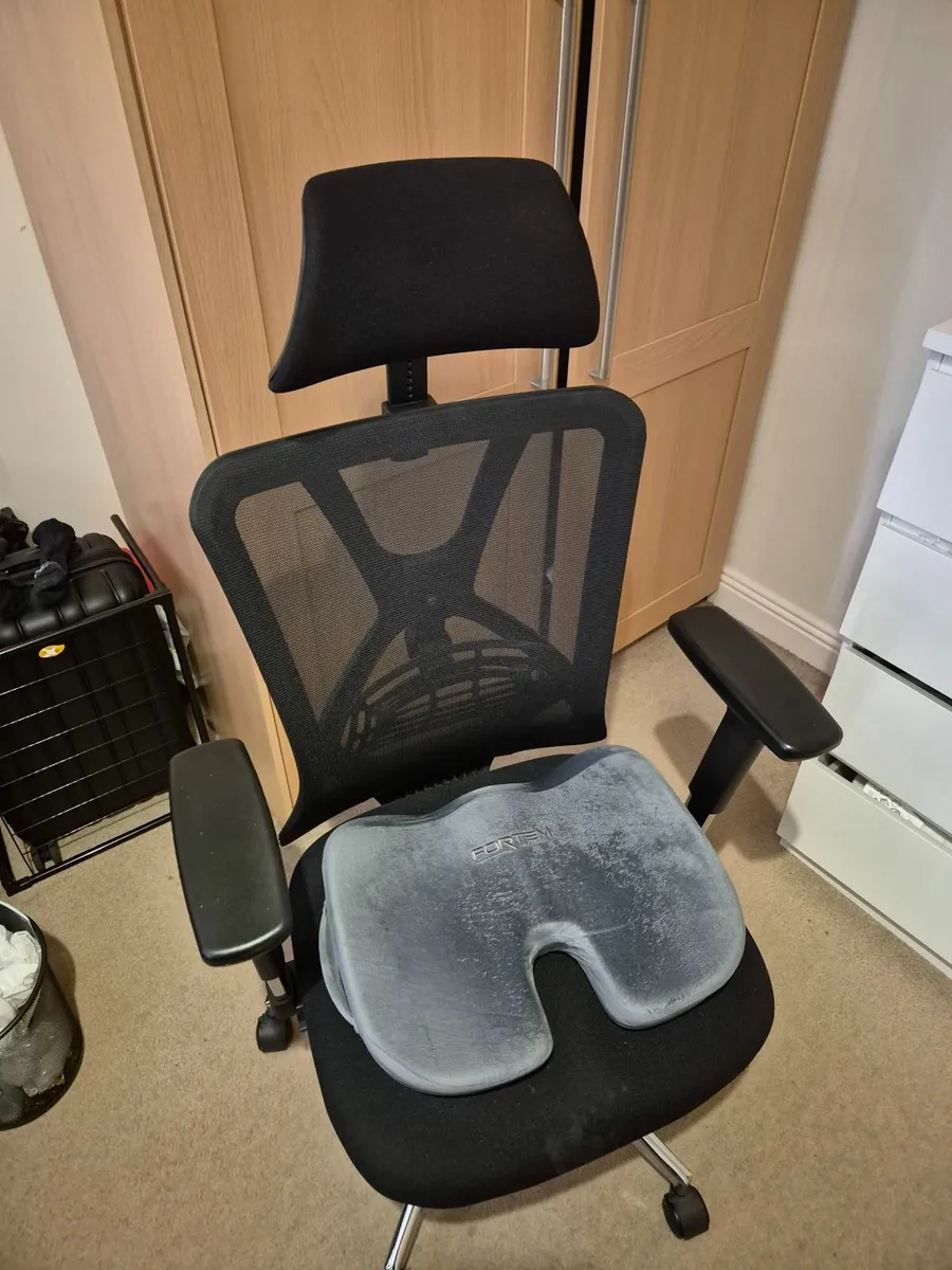 Office chair + seat cushion - Image 1