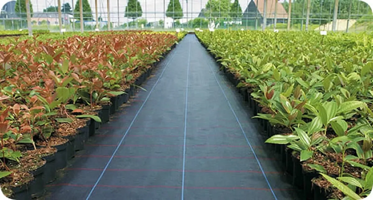 Ground cover weed control barrier - Image 1