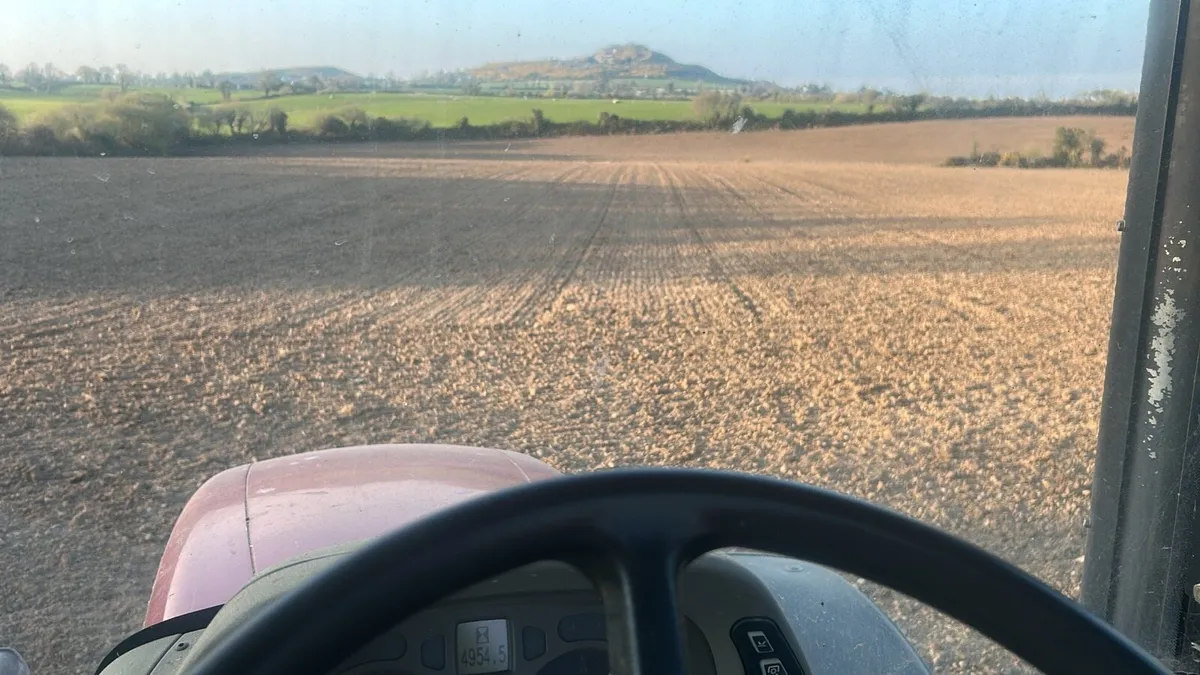 Silage - Image 4