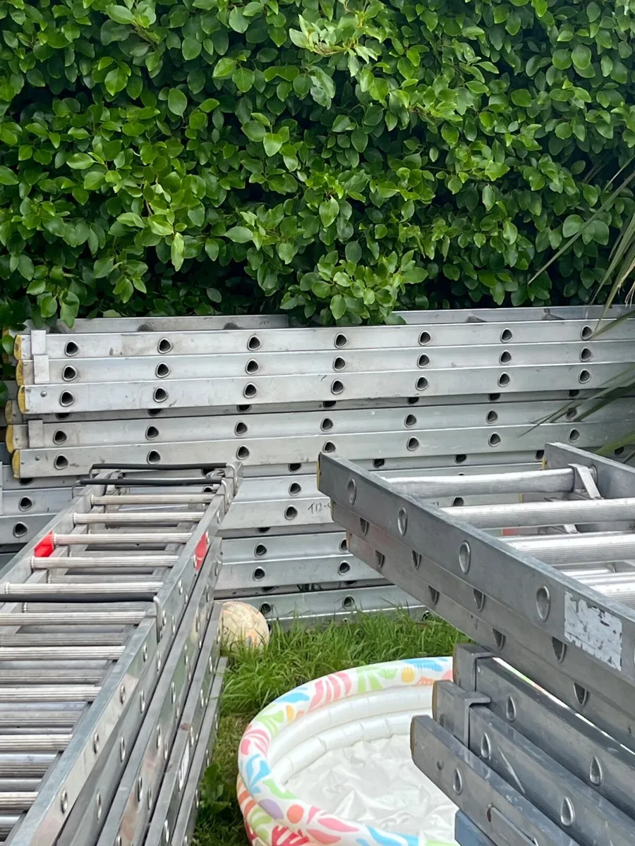 Ladder - Image 2