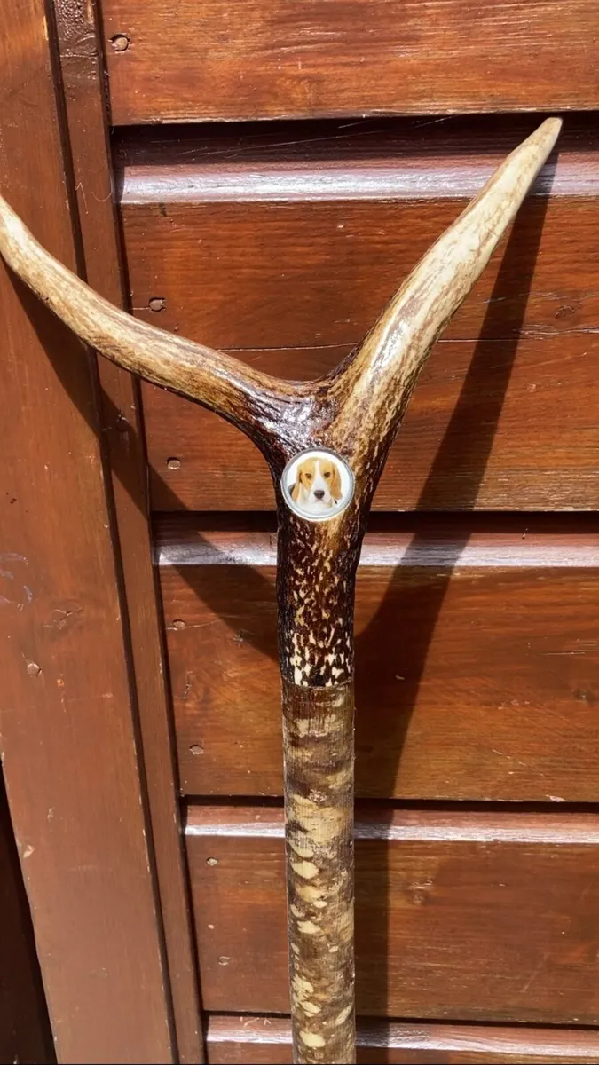 Walking/Hiking sticks - Image 1