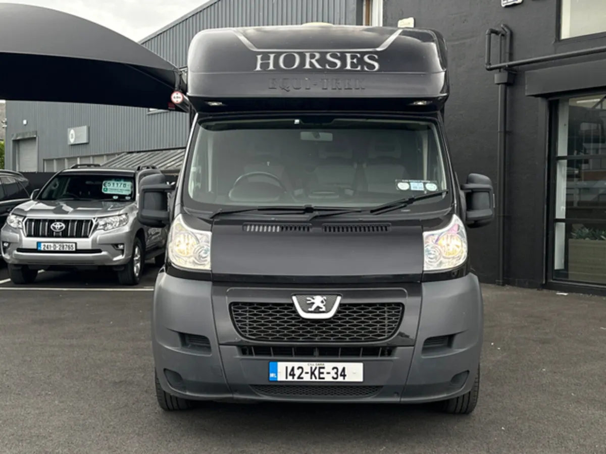 Peugeot Boxer HORSE BOX VAN - Image 2