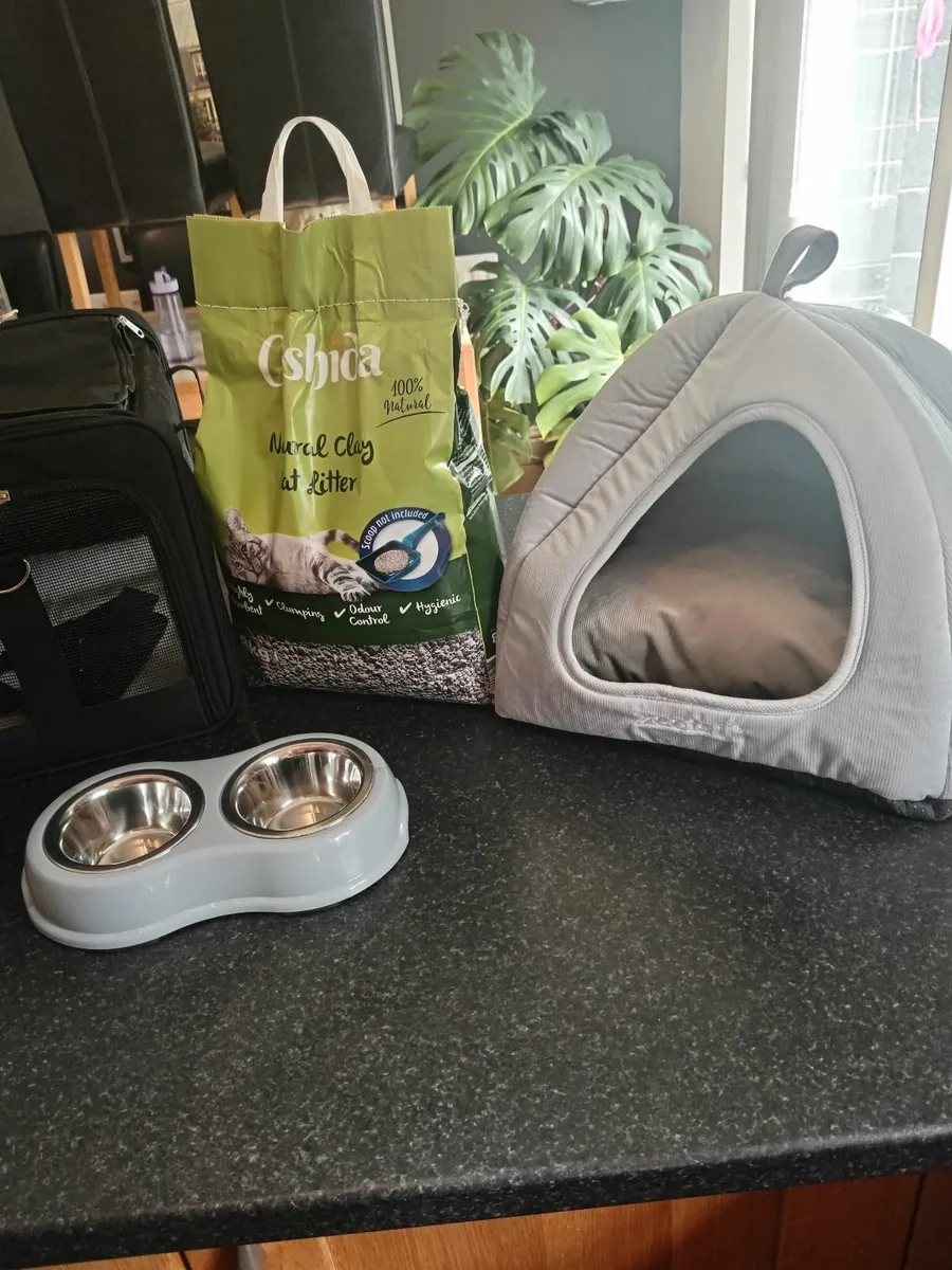 Cat accessories - Image 2