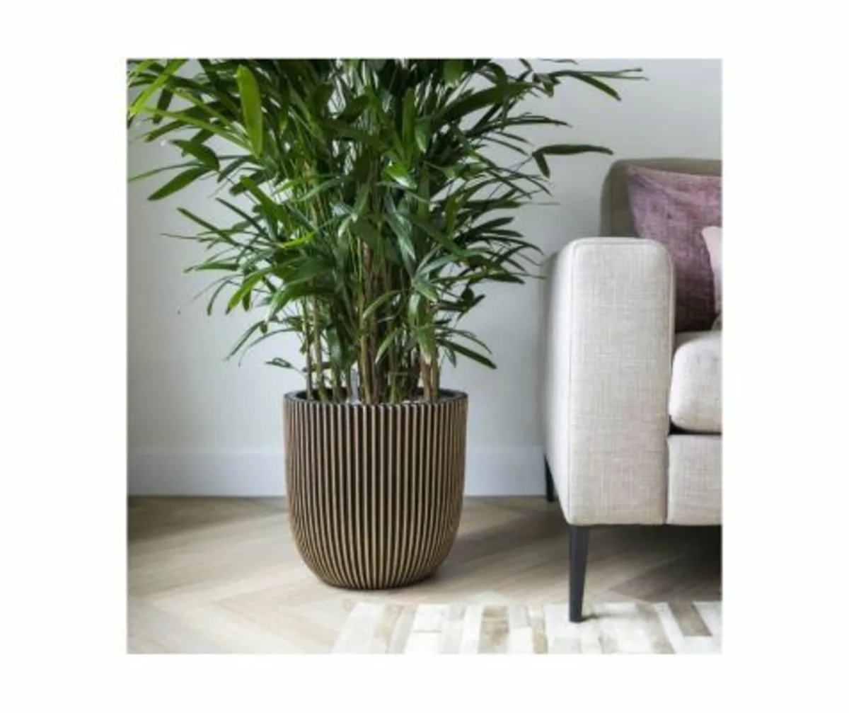 Planter Ball Groove NL Black Gold - Image 1
