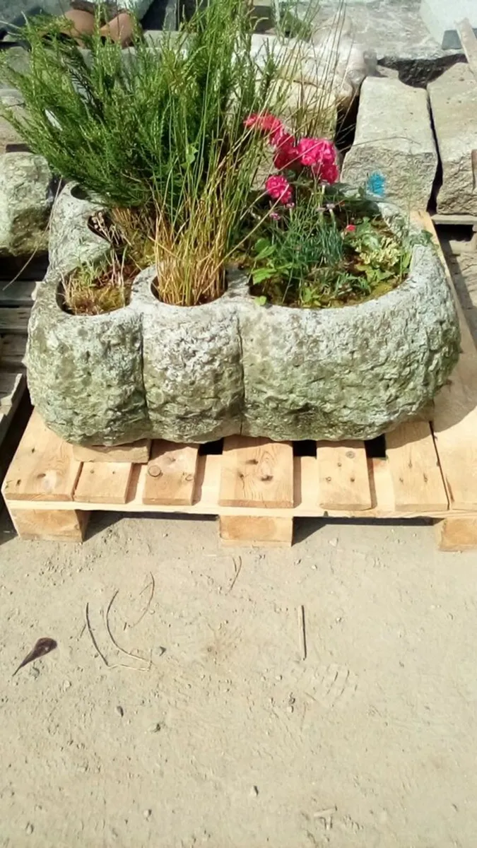 gardening - Image 1