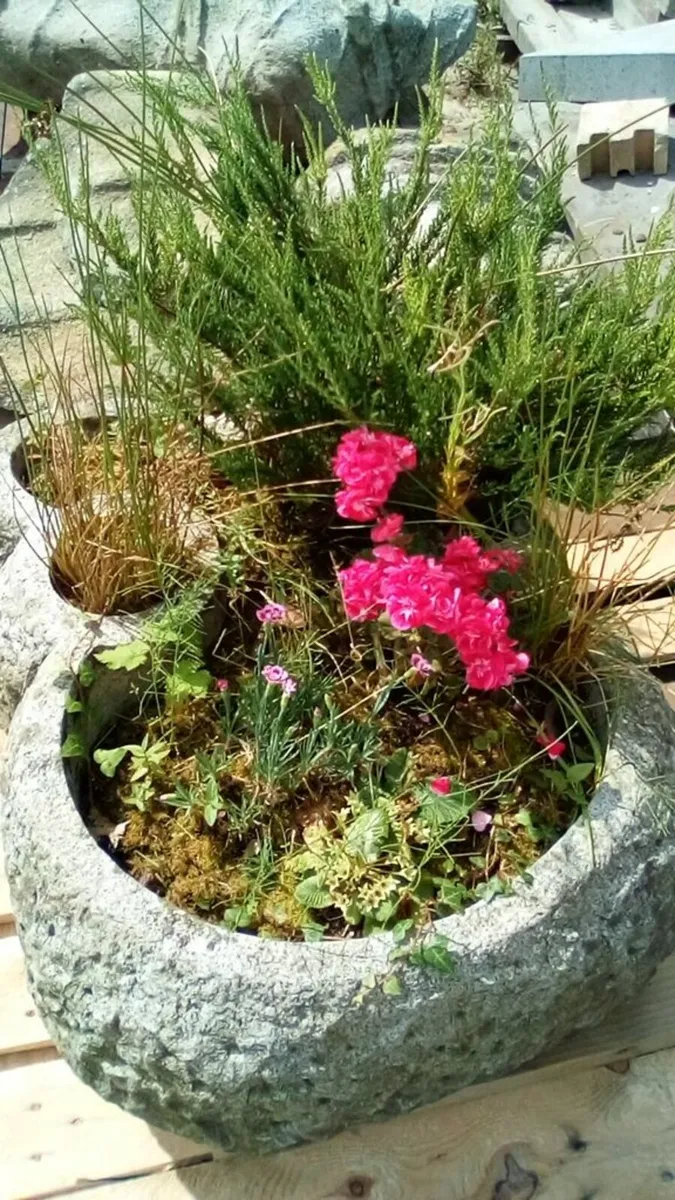 gardening - Image 2