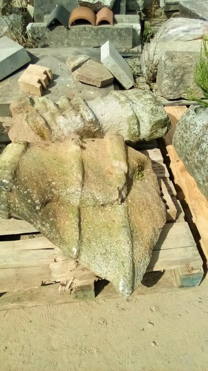 gardening - Image 3