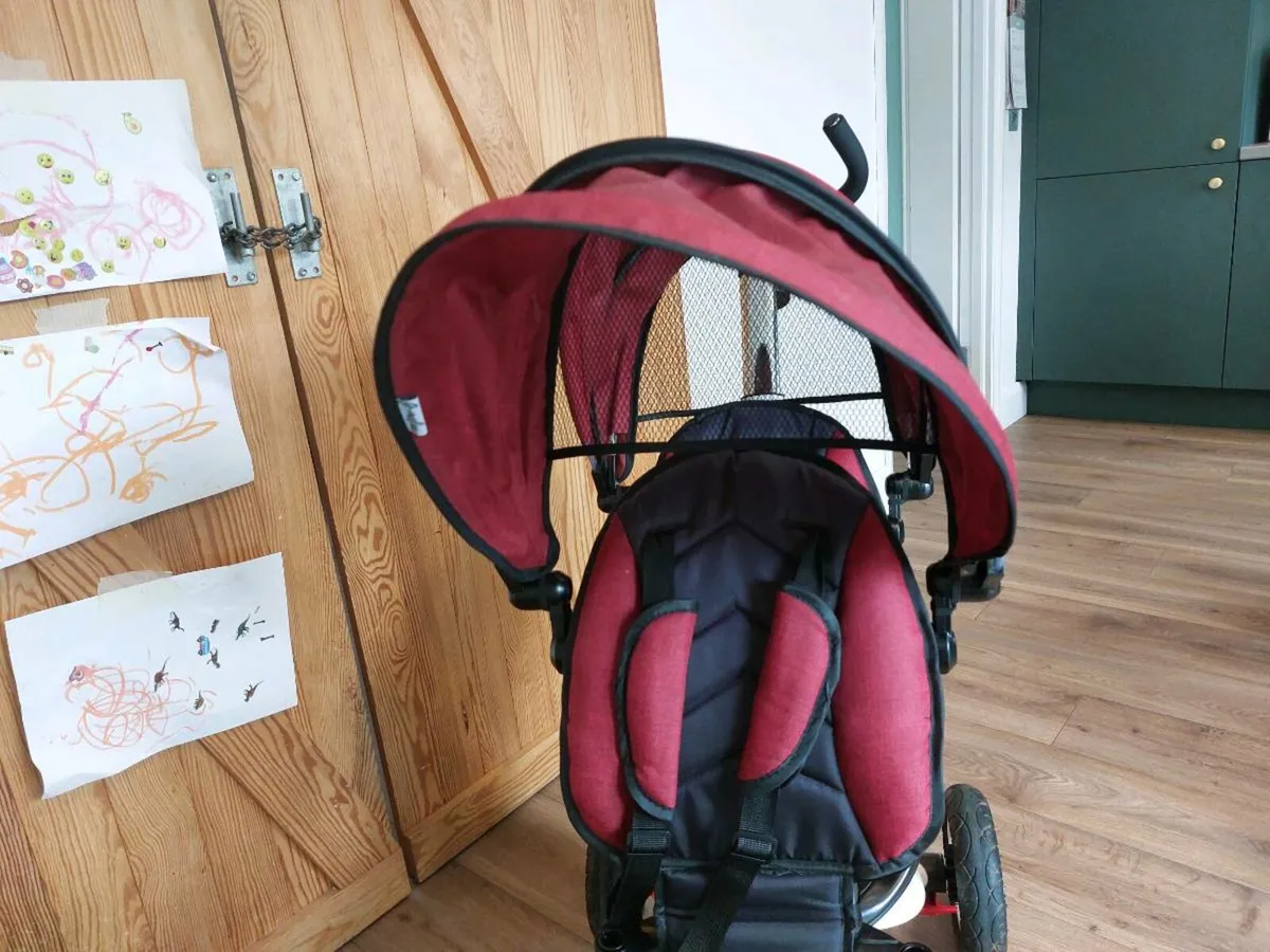 Twin trike - Image 2