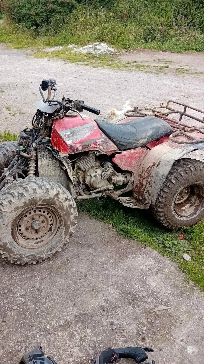 Honda 300 frame wanted