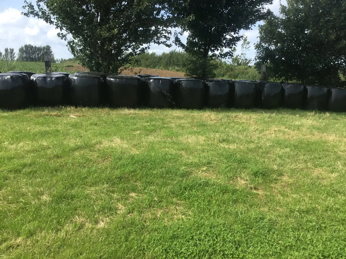 Organic Silage  haylege - Image 2