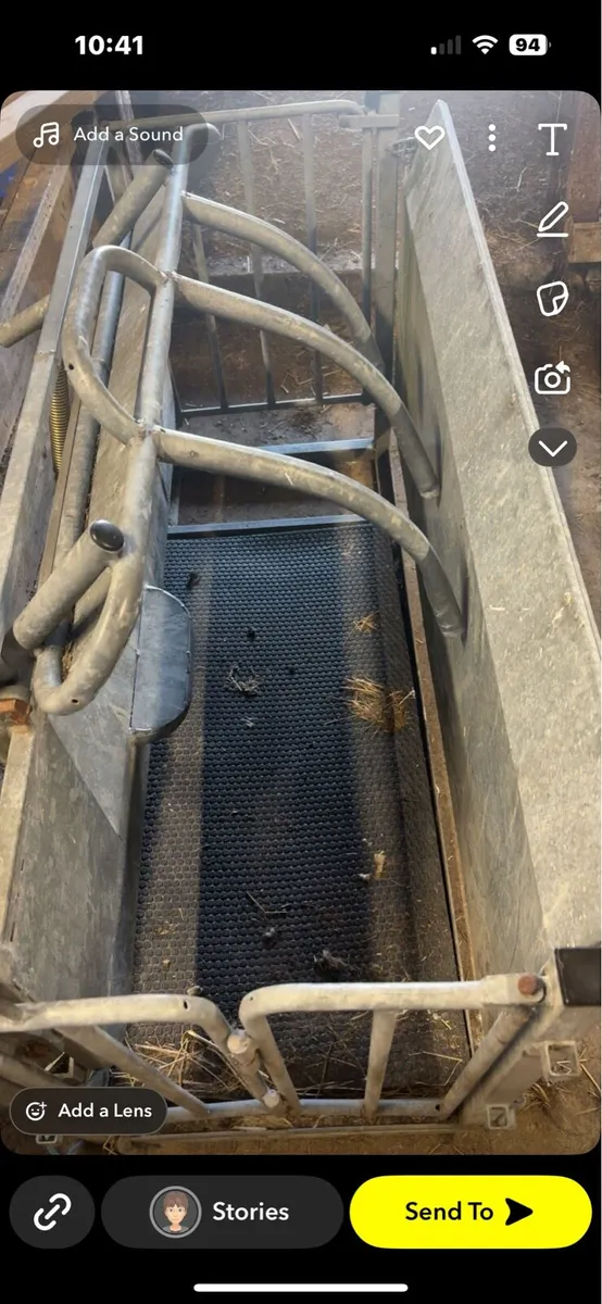 Sheep turnover crate - Image 1