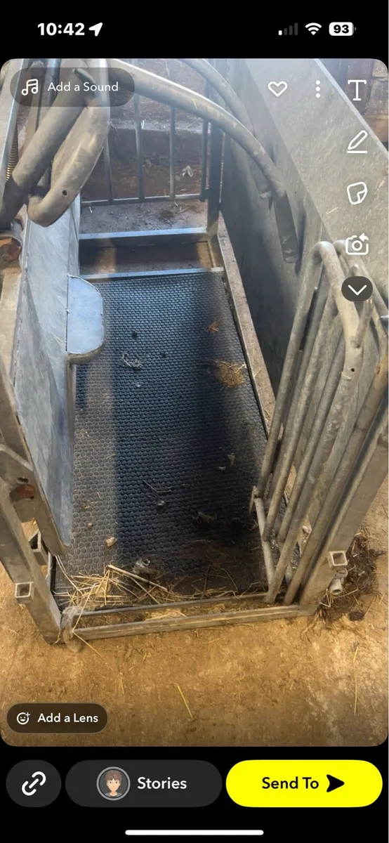 Sheep turnover crate - Image 3