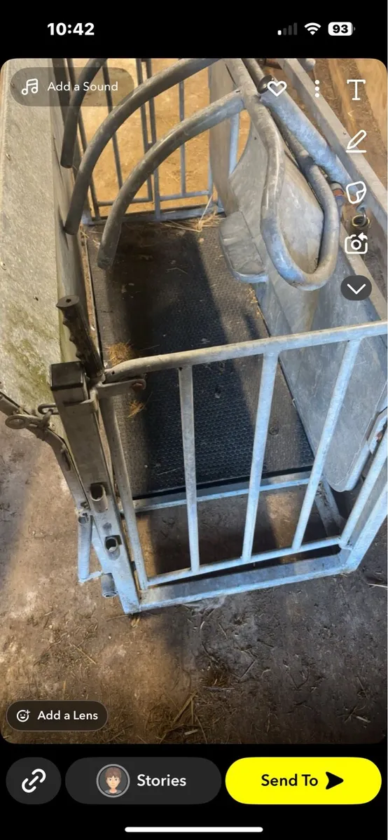 Sheep turnover crate - Image 4
