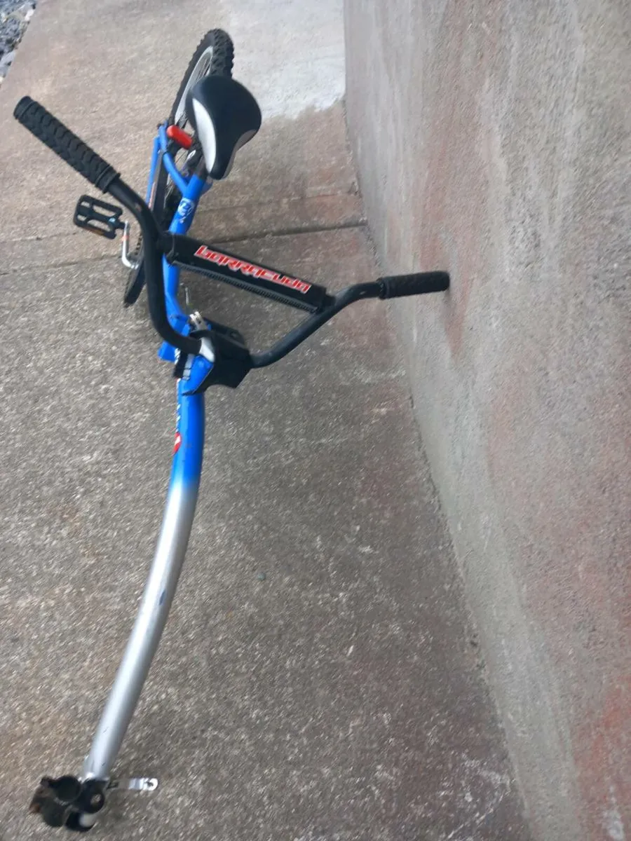 Trail bike (tag along) - Image 1