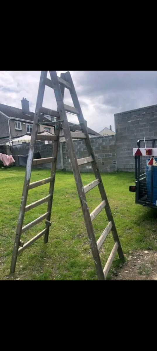 8 rung ladder