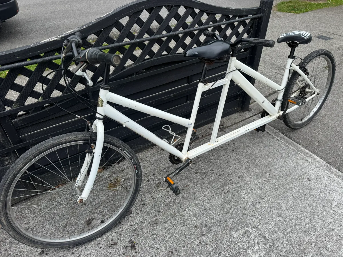 Tandem 2 seater bike - Image 1