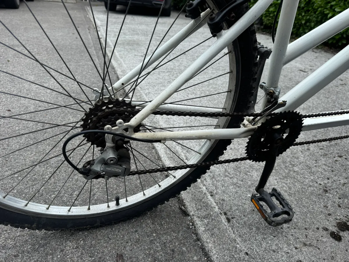 Tandem 2 seater bike - Image 4