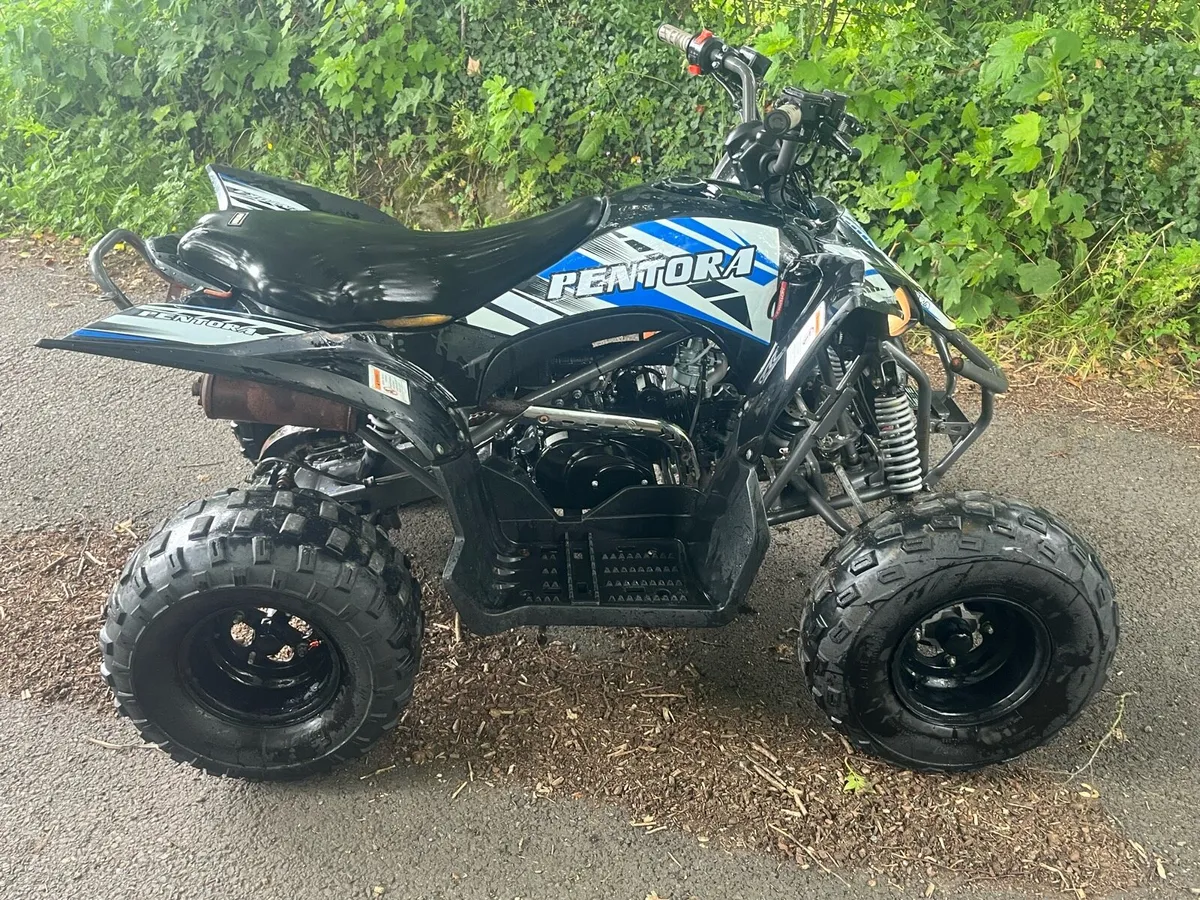 Pentora 125cc quad - Image 3