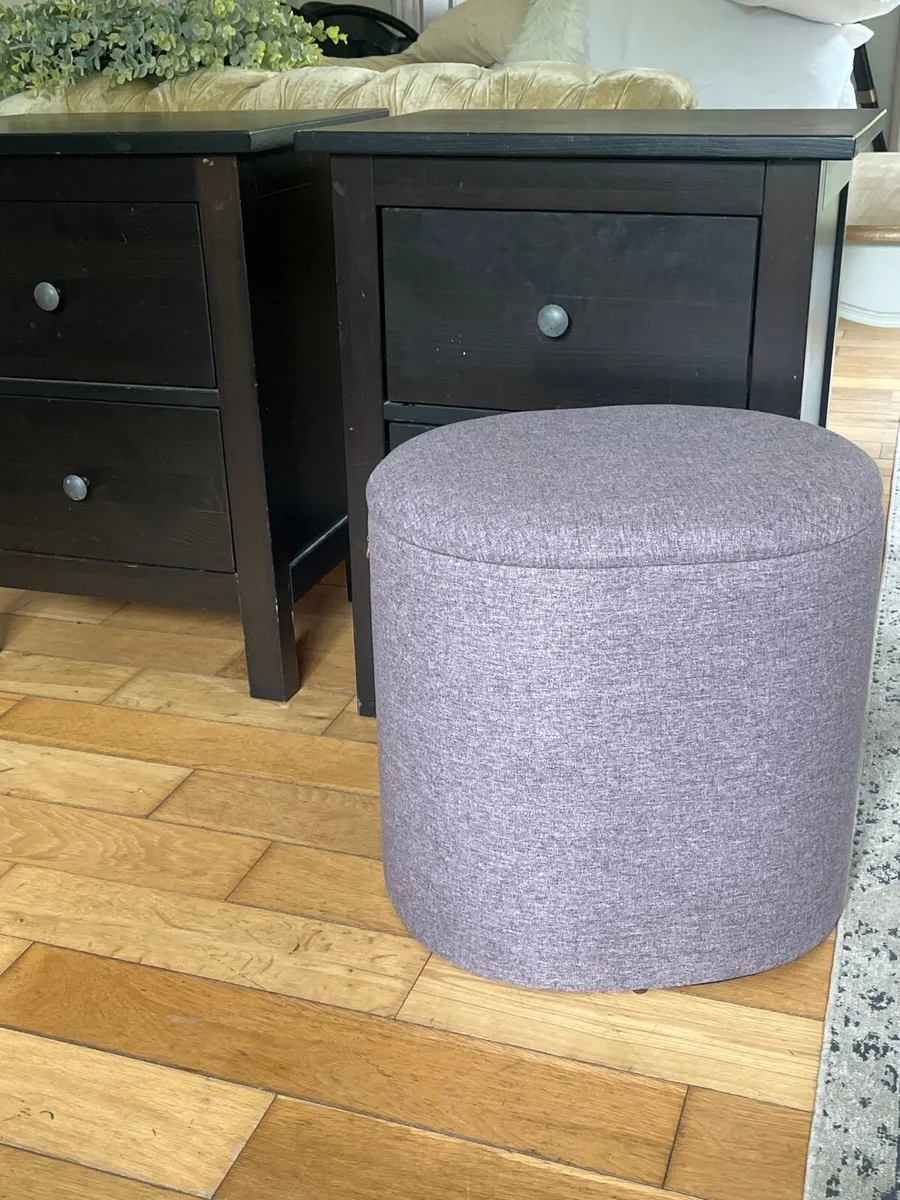 Storage box/ottoman - Image 1
