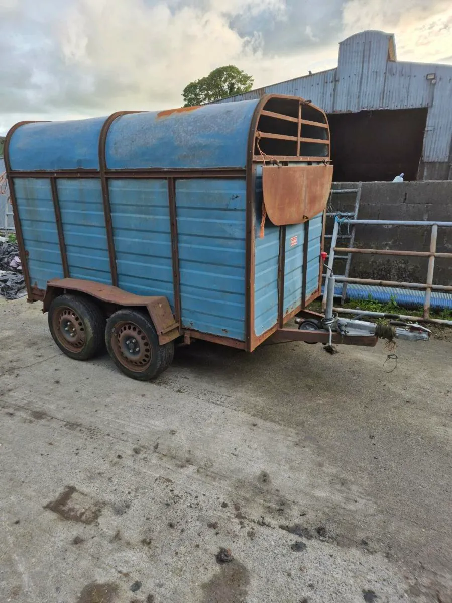 8 ×4 cattle box - Image 1