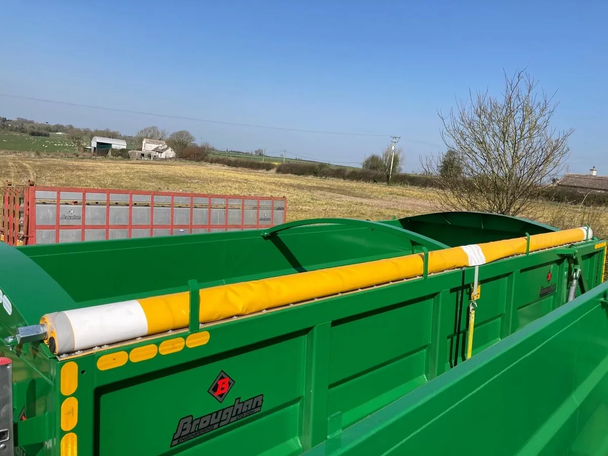 2 x 20ft Broughan Grain Trailers. - Image 3