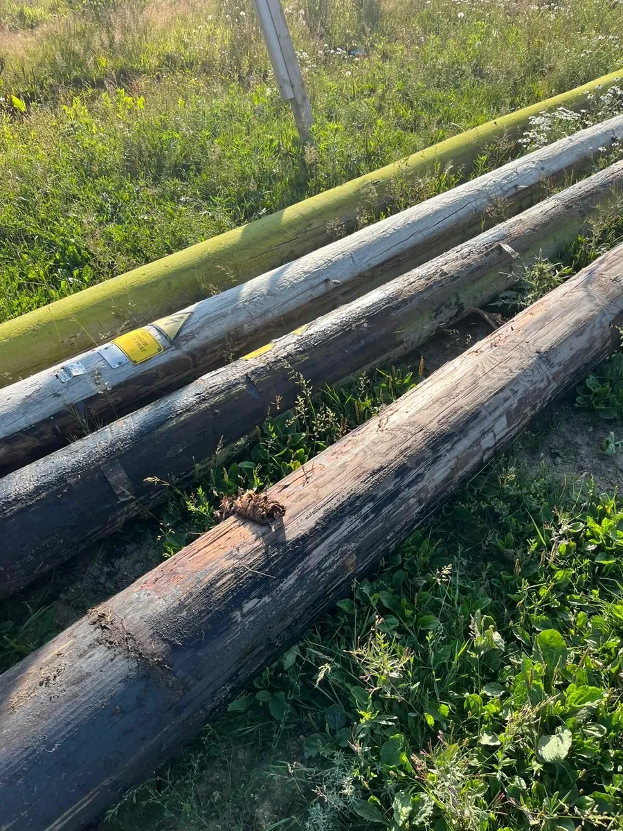 Telephone poles