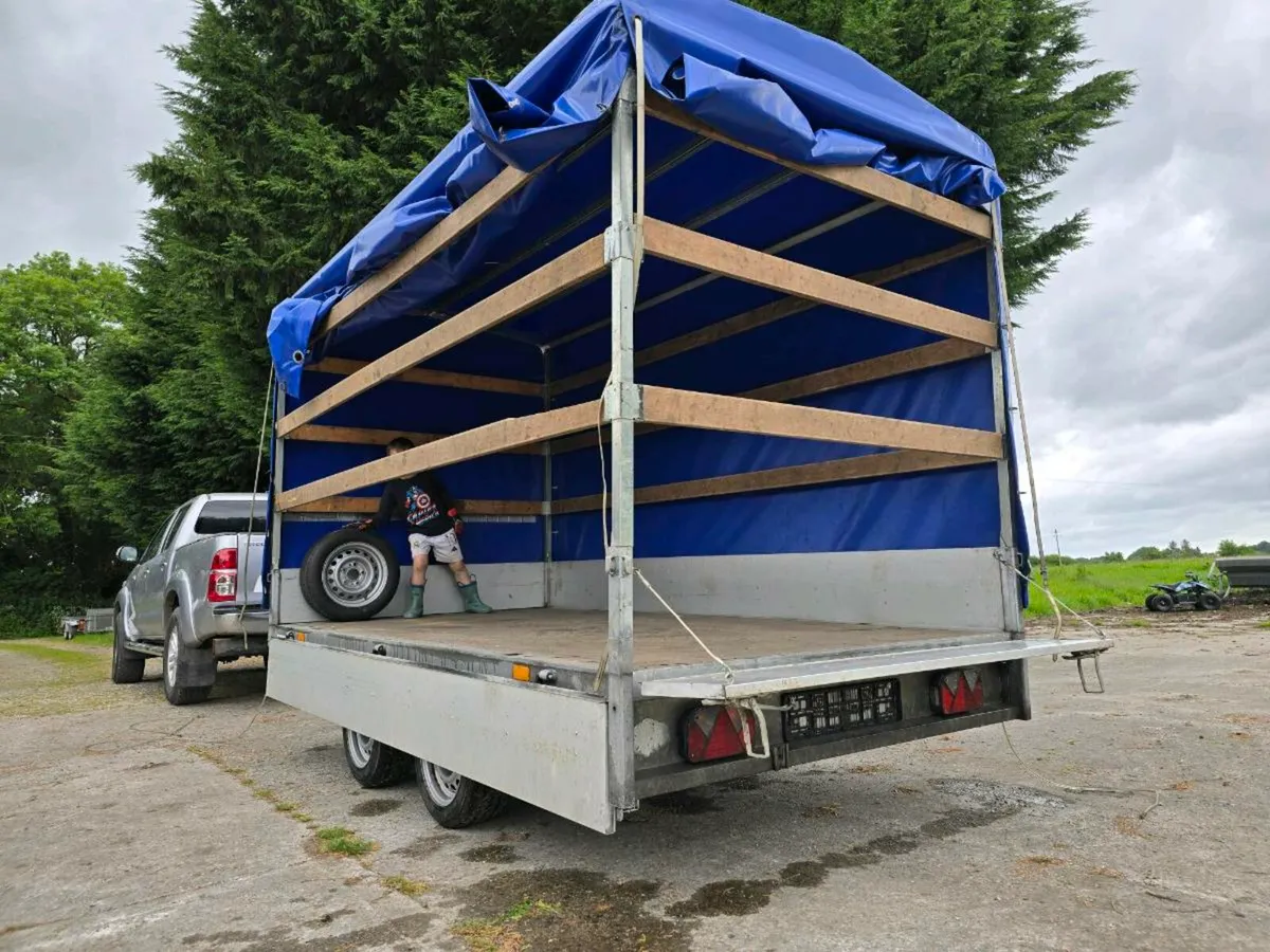 Aluminium Curtain box  trailer - Image 4