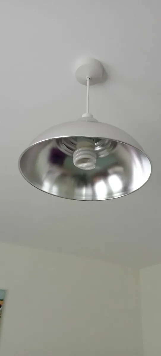 Light shade - Image 1