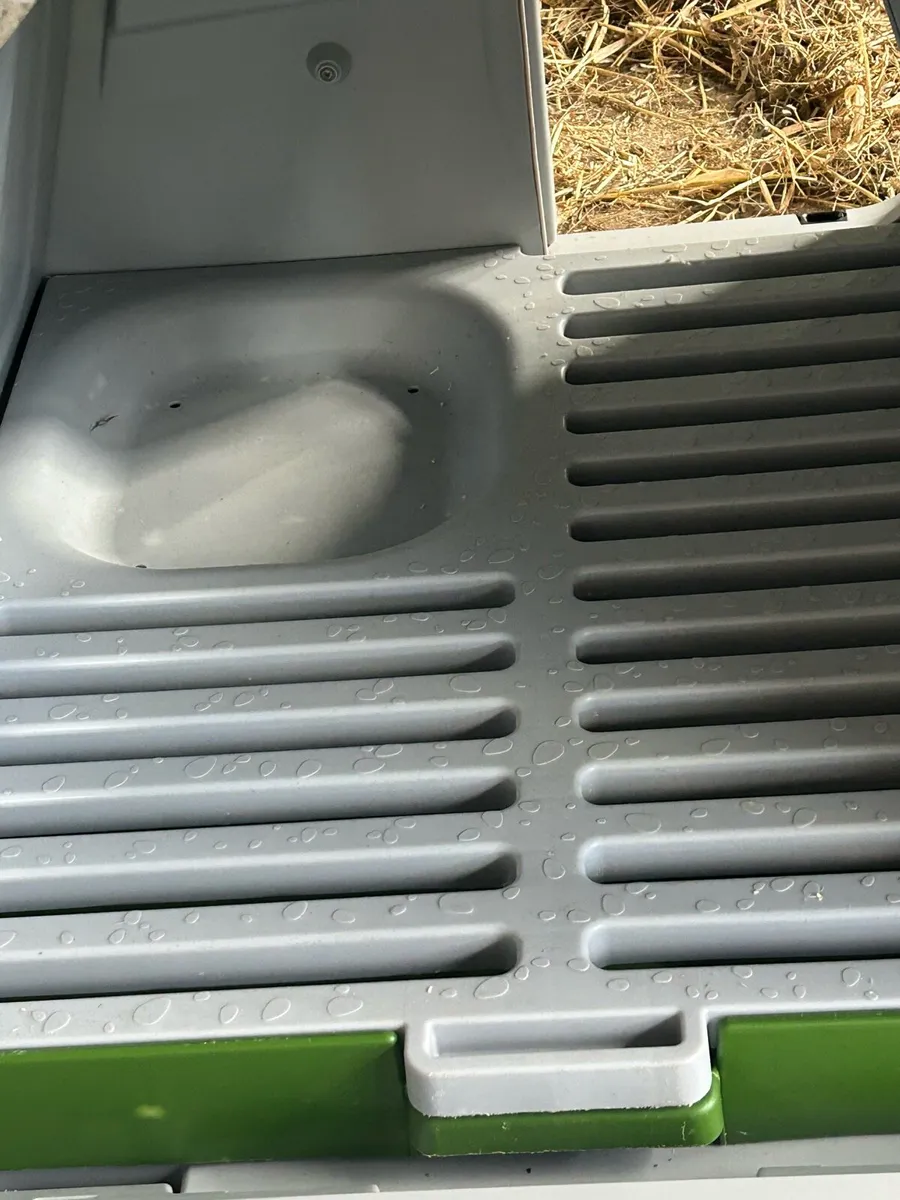 Chicken coop omelet - Image 2