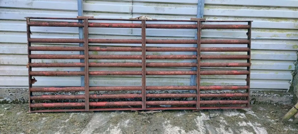 Cattle grid - Image 1