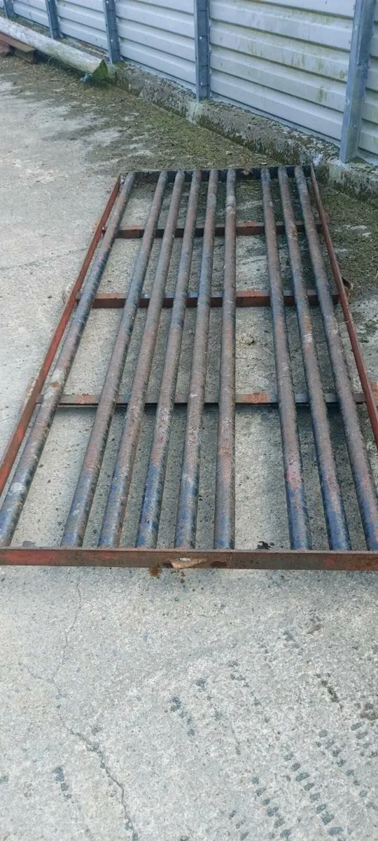 Cattle grid - Image 2