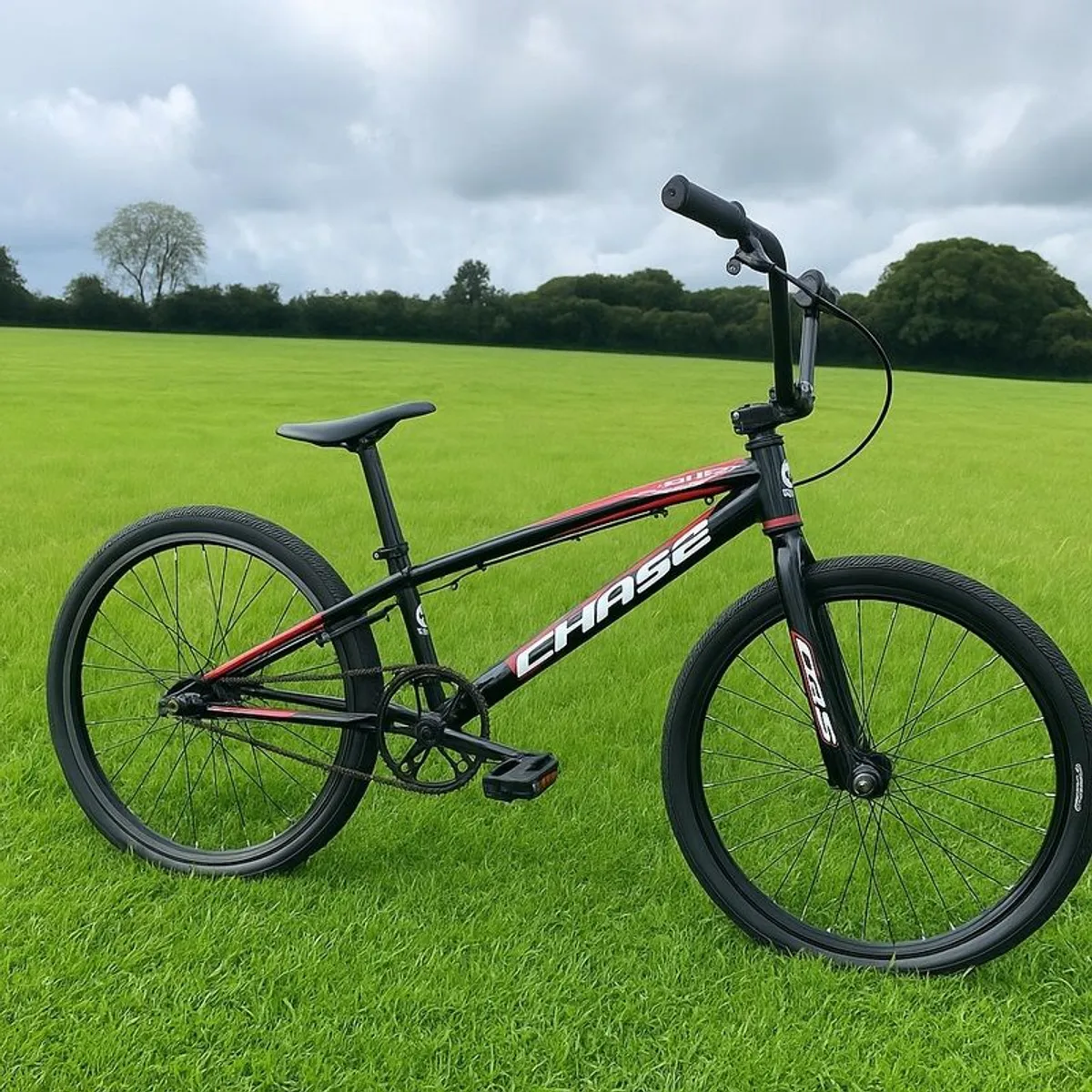 Chase Edge BMX - Image 2