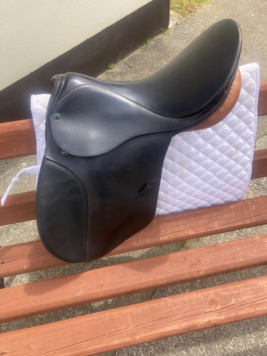 Stübben Saddle - Image 1