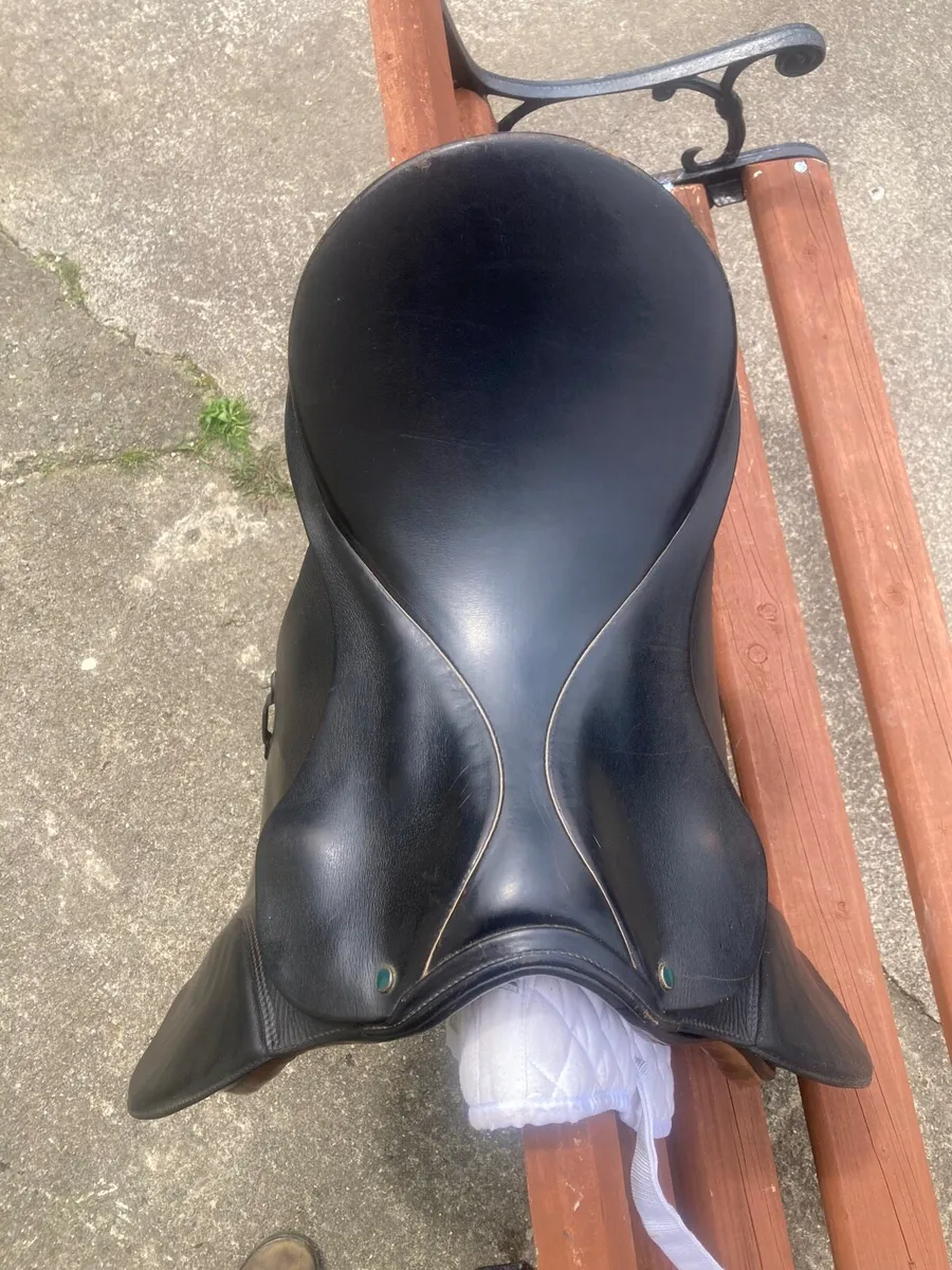 Stübben Saddle - Image 2
